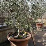 Appartement Casa Bardi