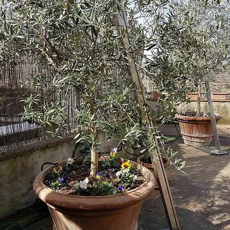 Apartmán Casa Bardi