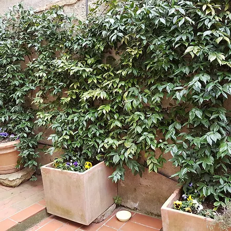 Casa Bardi Apartman *