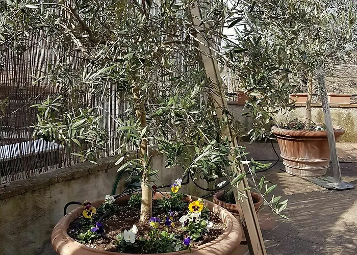 Daire Casa Bardi