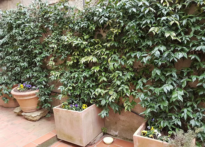 Casa Bardi Daire *